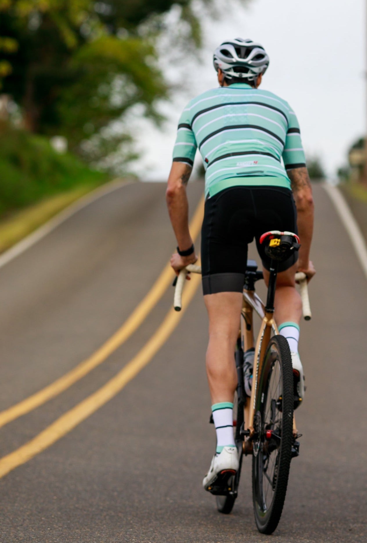 ProSpec Rouleur Sock | Squadra Stripes | White/Celeste Green/Obsidian Black