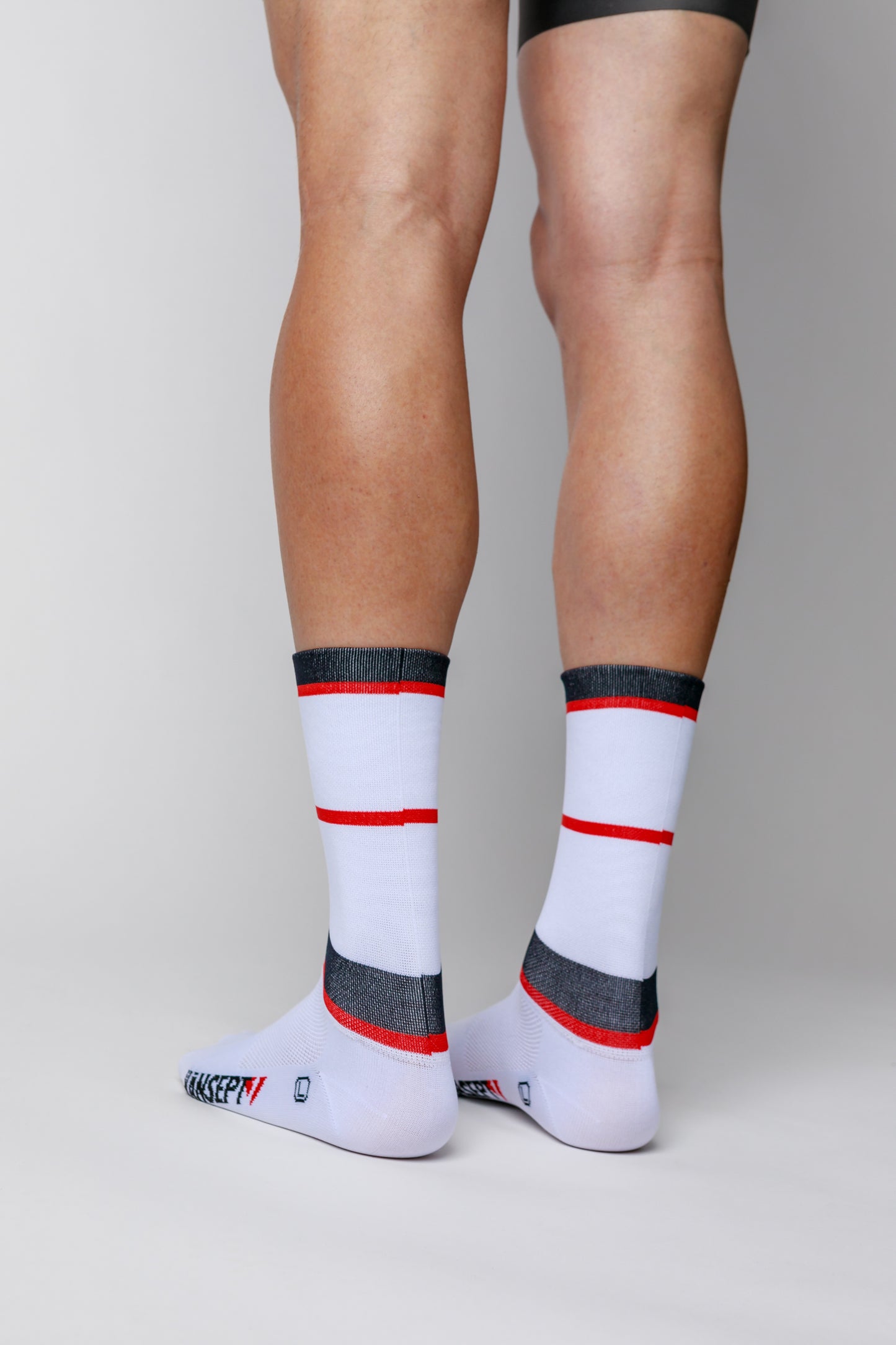 NOW ON SALE!!!  ProSpec Rouleur Socks | Squadra Stripes | White/Midnight Blue/Flamme Rouge Red